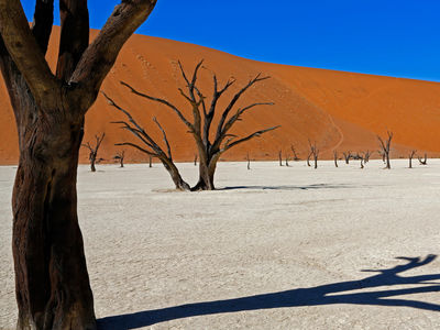 Live Multivision Reportage Namibia