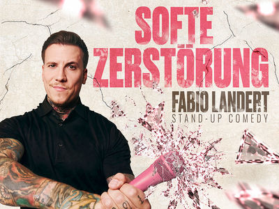 Fabio Landert "Softe Zertstörung"