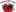 Appenzeller Welttournee