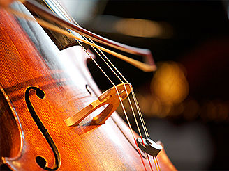 Musikschule Cham