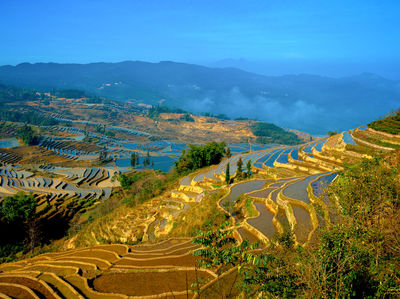 Live-Reportage "China"