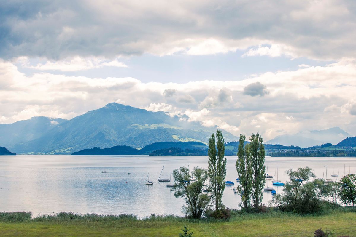 Surrounding area Area and activities Discover Lorzensaal Cham