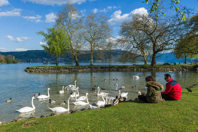 Surrounding Area Area And Activities Discover Lorzensaal Cham