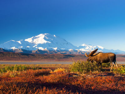 ALASKA - Wildes Land