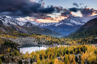 Multivision "Naturwunder Schweiz"